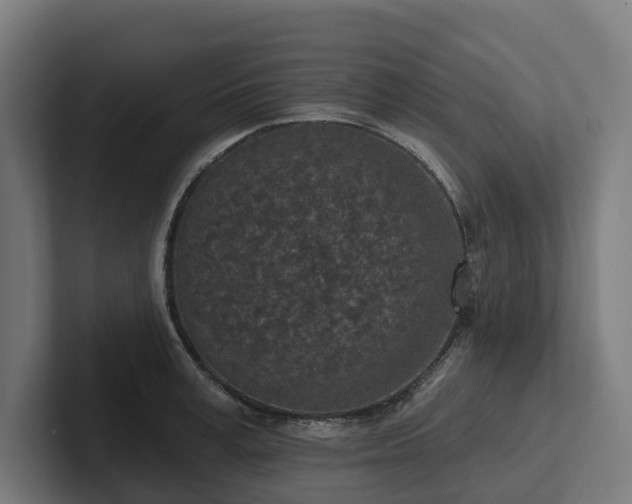 X0000102360995200808011449