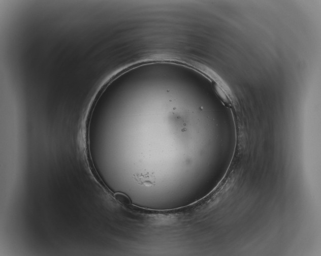 X0000102360996200808011448