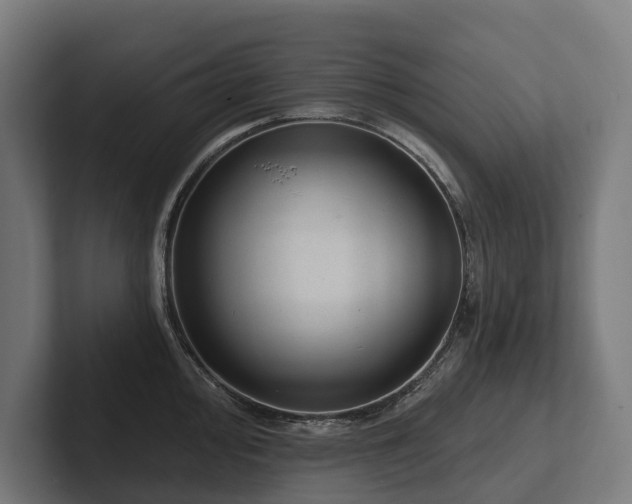 X0000102361000200808011448
