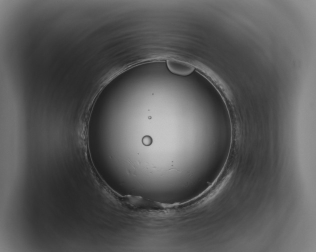 X0000102361001200808011448