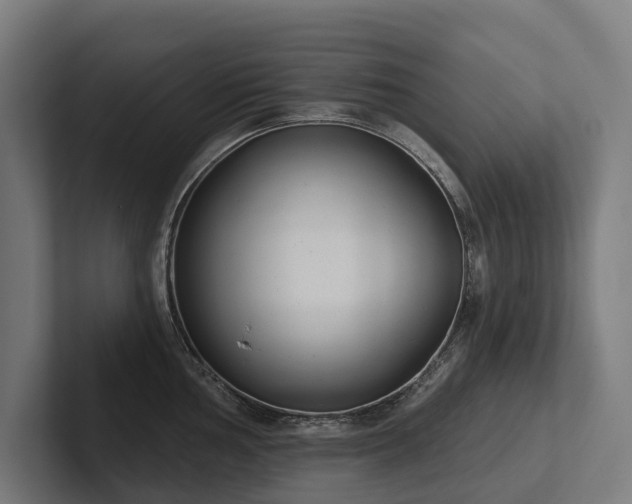 X0000102361002200808011448