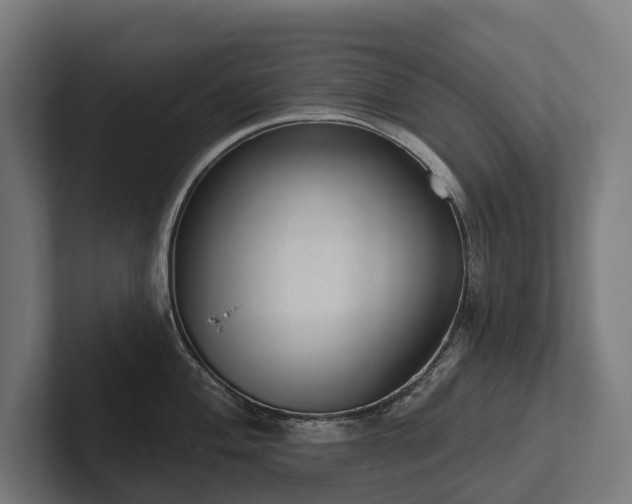 X0000102361004200808011448