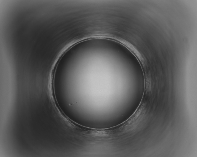 X0000102361006200808011448