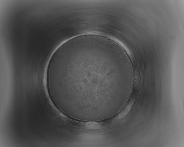 X0000102361007200808011448