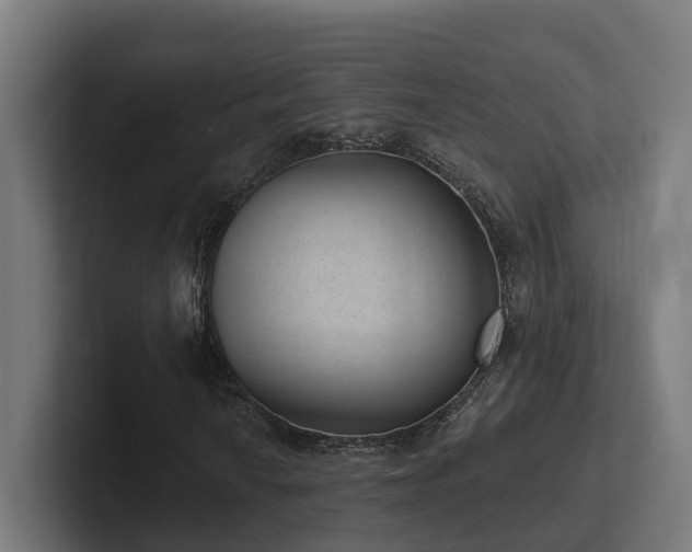 X0000102361010200808011448