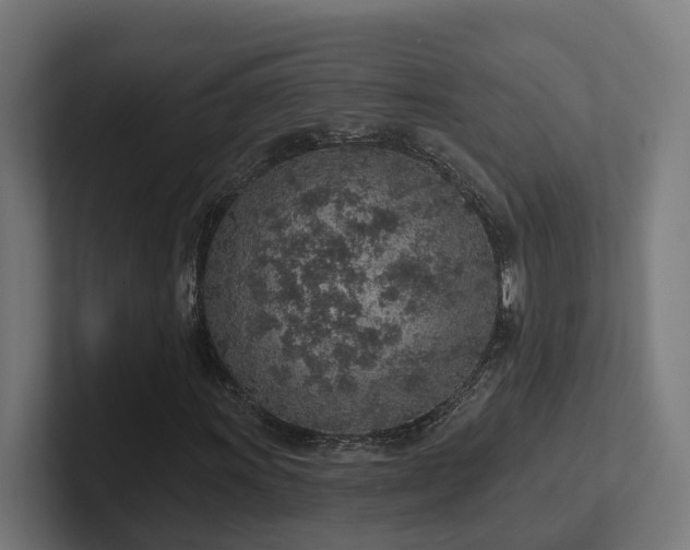 X0000102361011200808011448