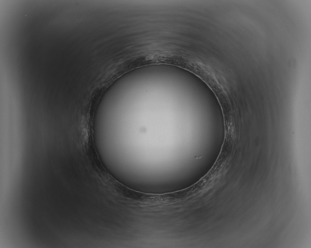 X0000102361012200808011448