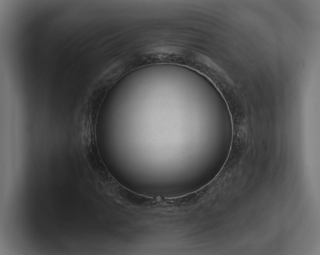 X0000102361014200808011448