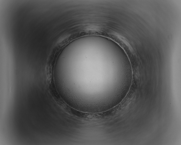 X0000102361015200808011448