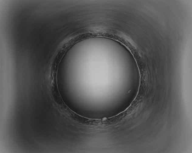 X0000102361016200808011448