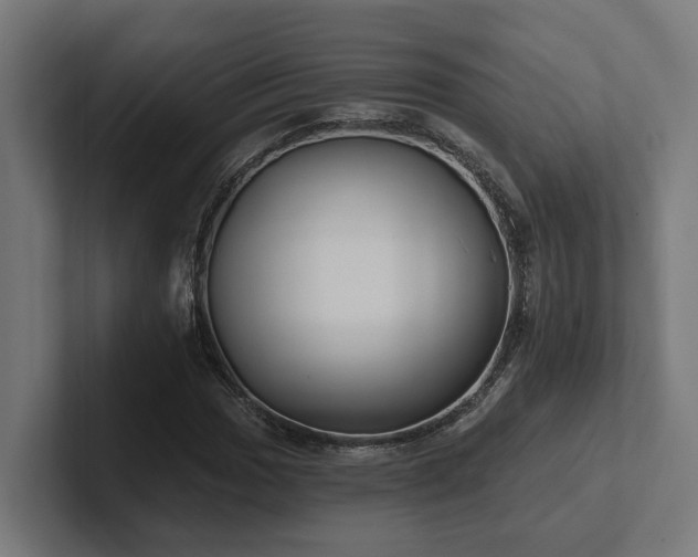 X0000102361017200808011448