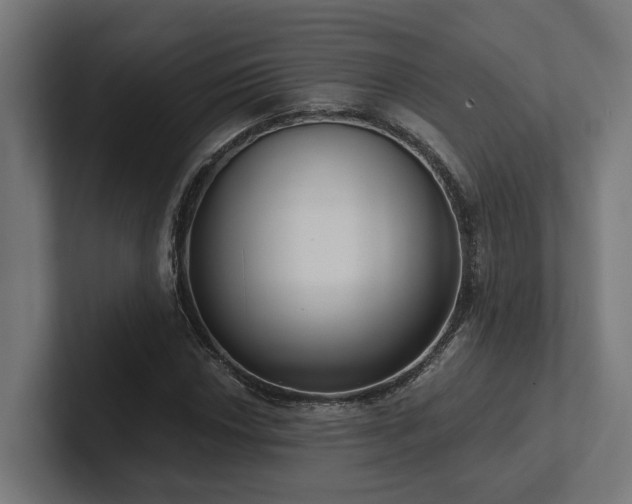 X0000102361018200808011448