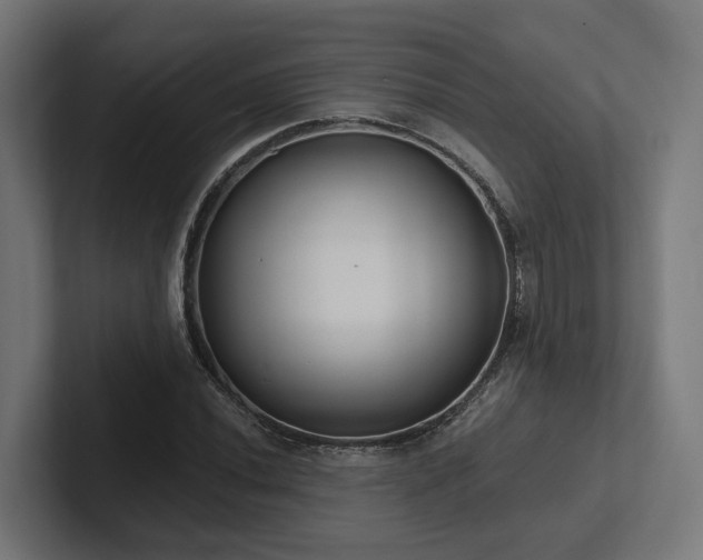 X0000102361020200808011448