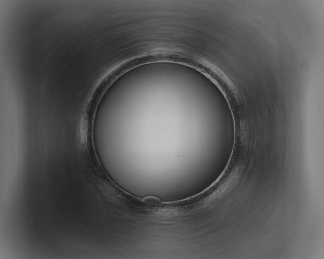 X0000102361021200808011448