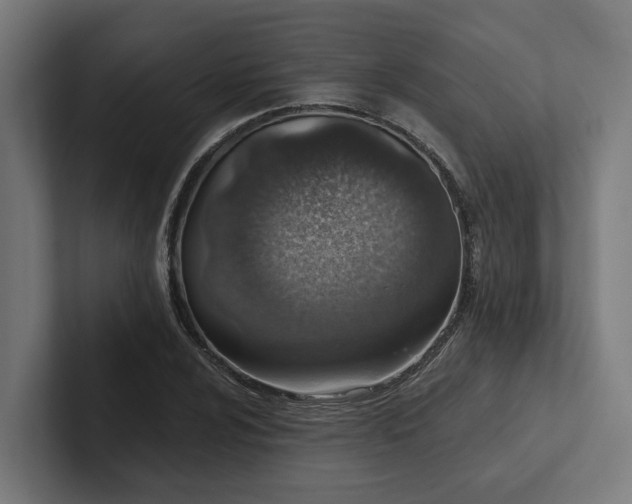 X0000102361024200808011448