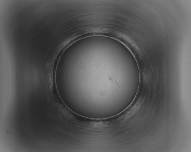 X0000102361025200808011448