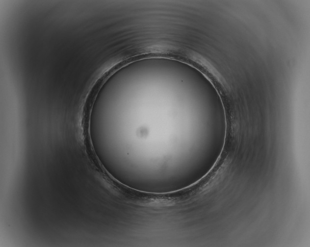 X0000102361026200808011448