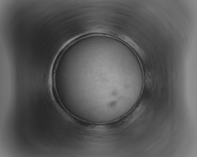 X0000102361028200808011448