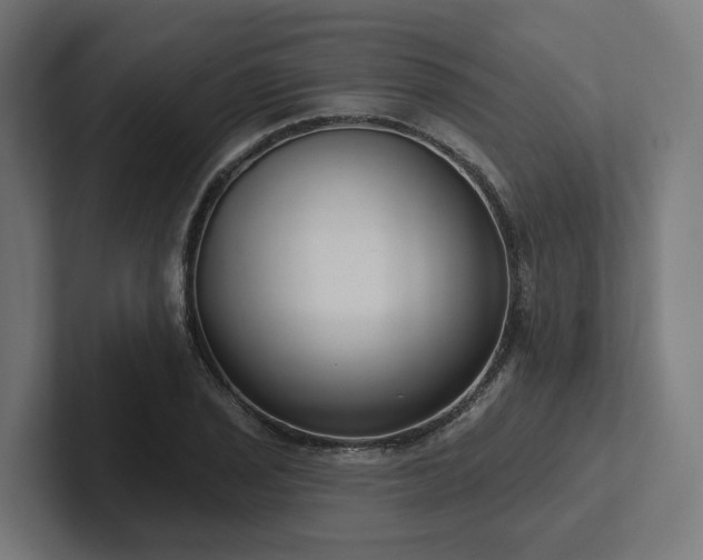 X0000102361029200808011448
