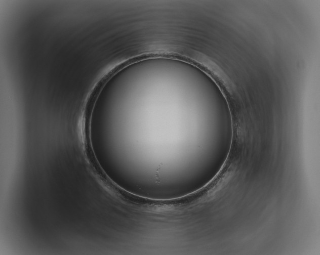 X0000102361030200808011448