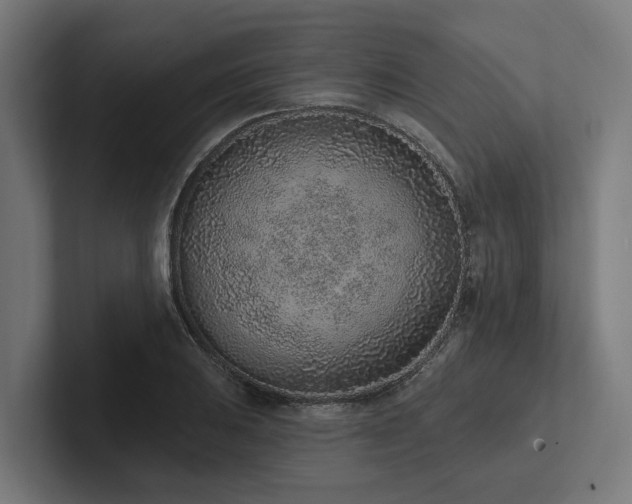 X0000102361031200808011448