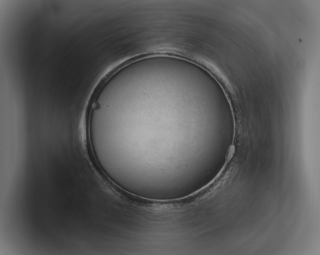 X0000102361032200808011448