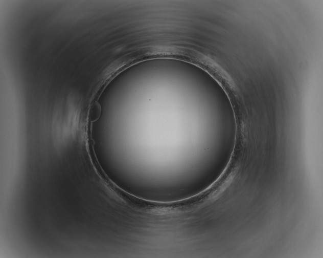X0000102361033200808011448