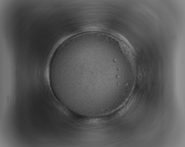X0000102361035200808011448