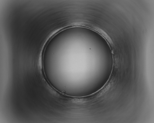 X0000102361036200808011448
