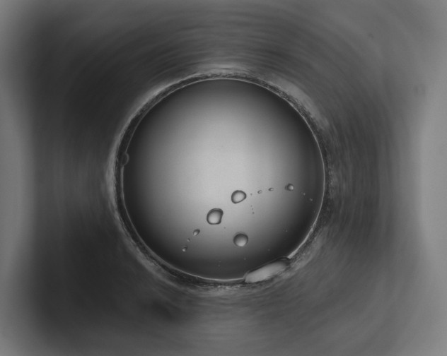 X0000102361038200808011448