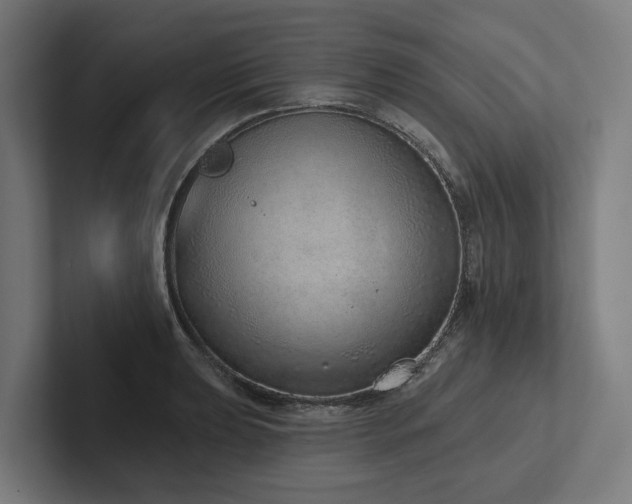 X0000102361039200808011448
