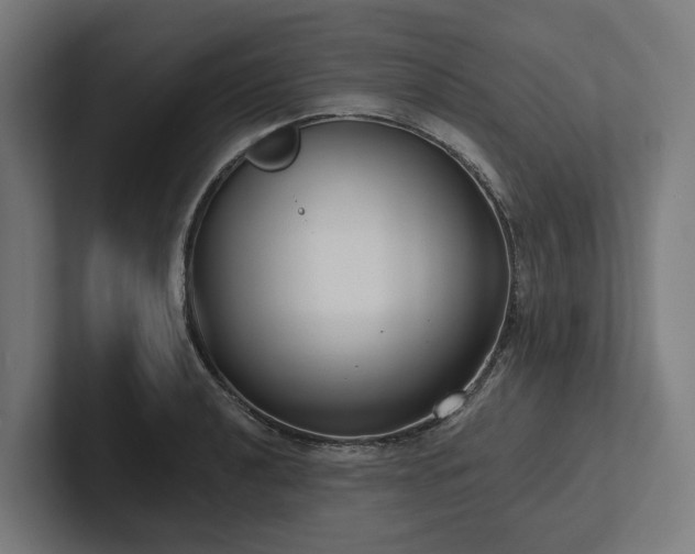X0000102361040200808011448