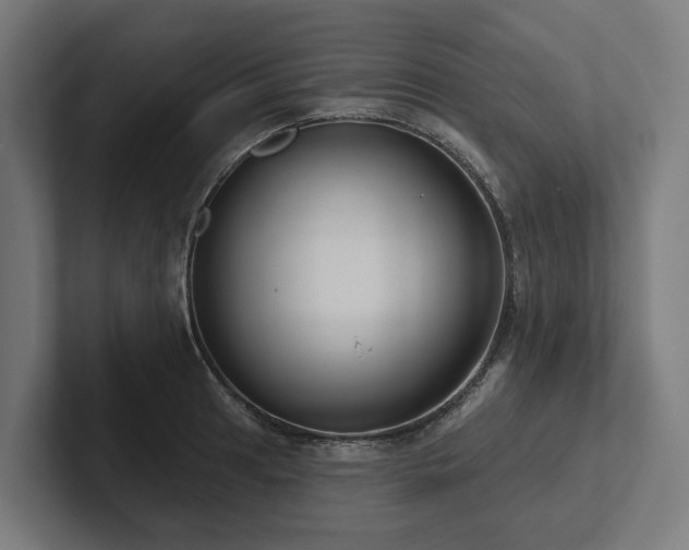 X0000102361041200808011448