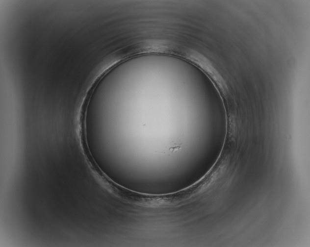 X0000102361042200808011448