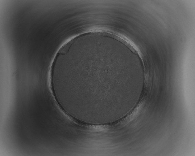 X0000102361045200808011448