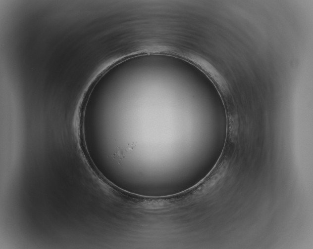 X0000102361046200808011448