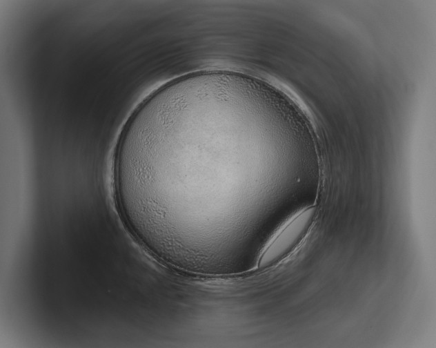 X0000102361048200808011448