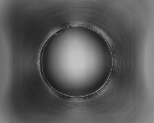 X0000102361050200808011448