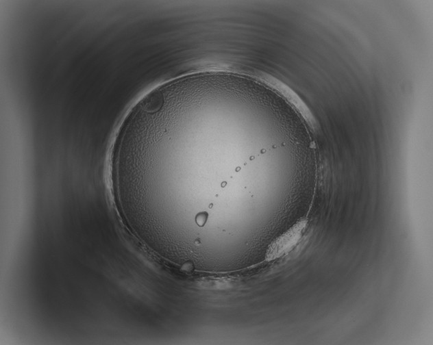 X0000102361051200808011448