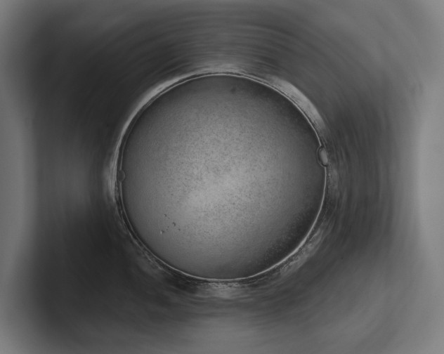 X0000102361052200808011448