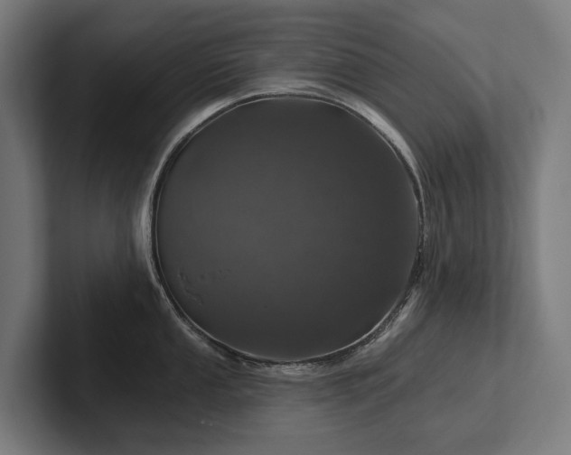 X0000102361053200808011448