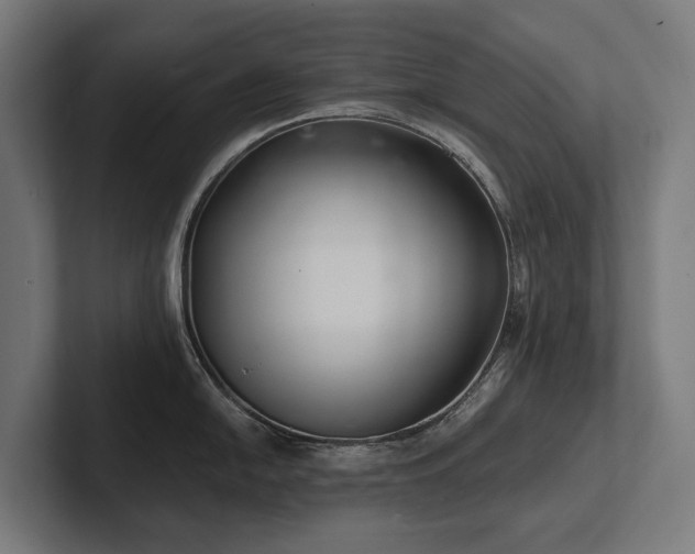 X0000102361054200808011448