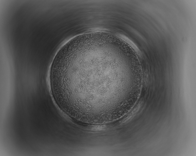 X0000102361055200808011448