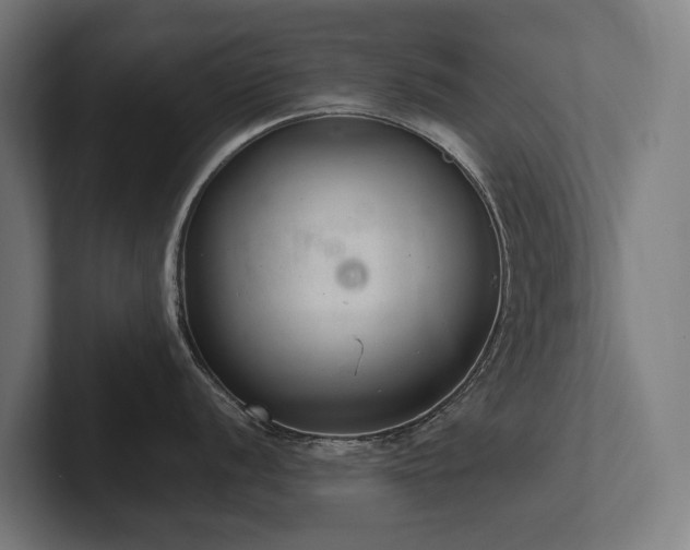 X0000102361056200808011448