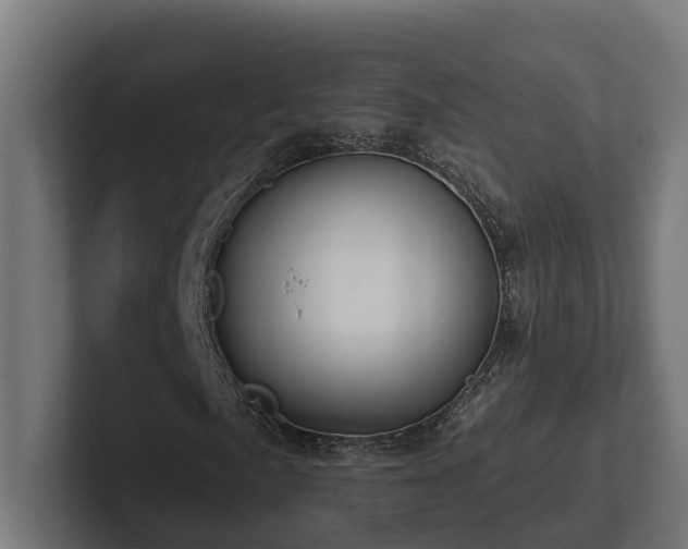 X0000102361057200808011448