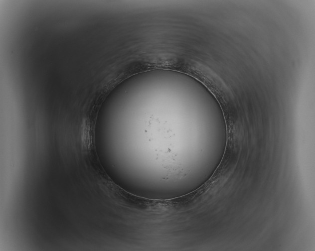 X0000102361058200808011448