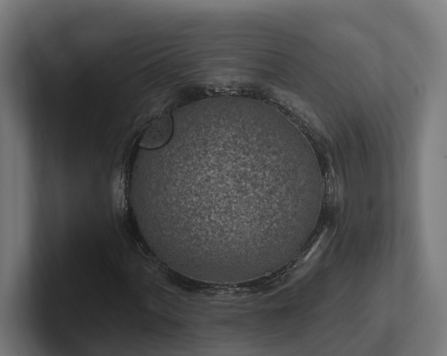 X0000102361060200808011448