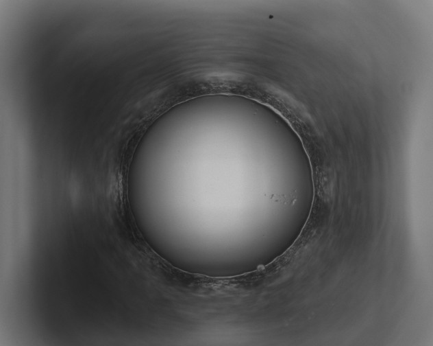 X0000102361061200808011448