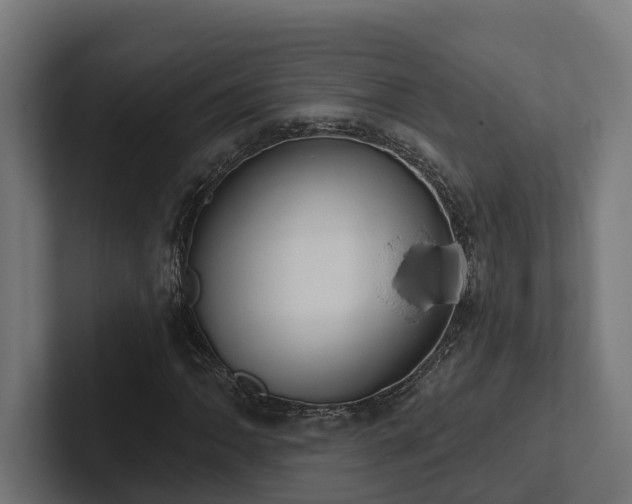 X0000102361062200808011448