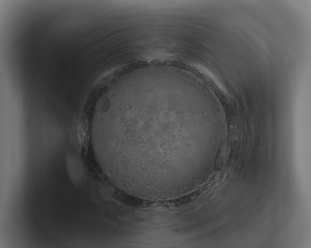 X0000102361063200808011448
